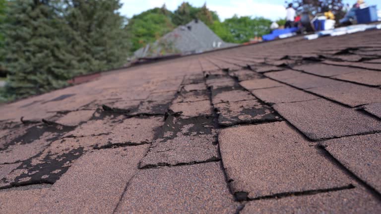 4 Ply Roofing in Clinton, OH